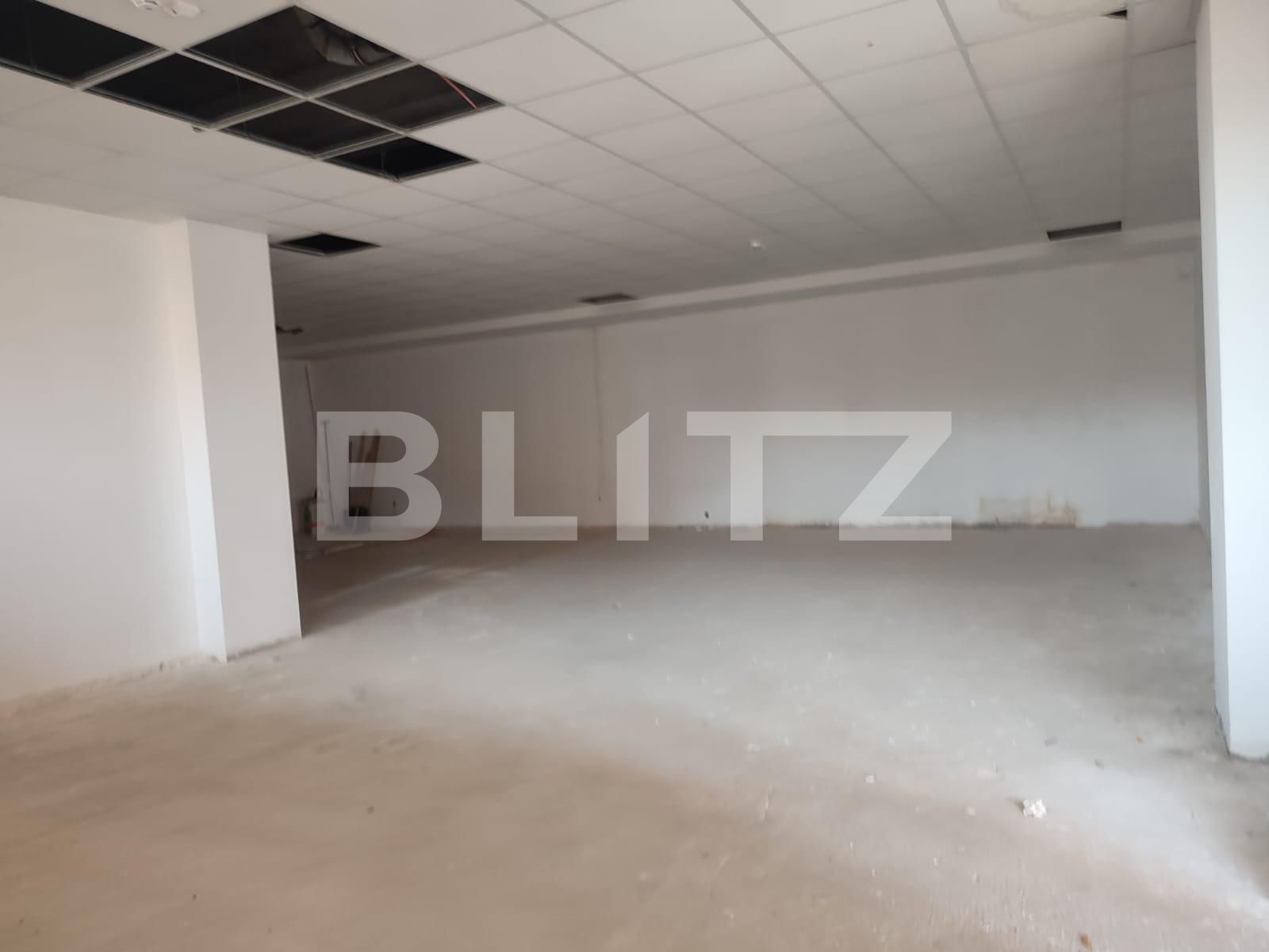 Spațiu comercial de vânzare Gavana 3 - 121717SVC | BLITZ Pitești | Poza11