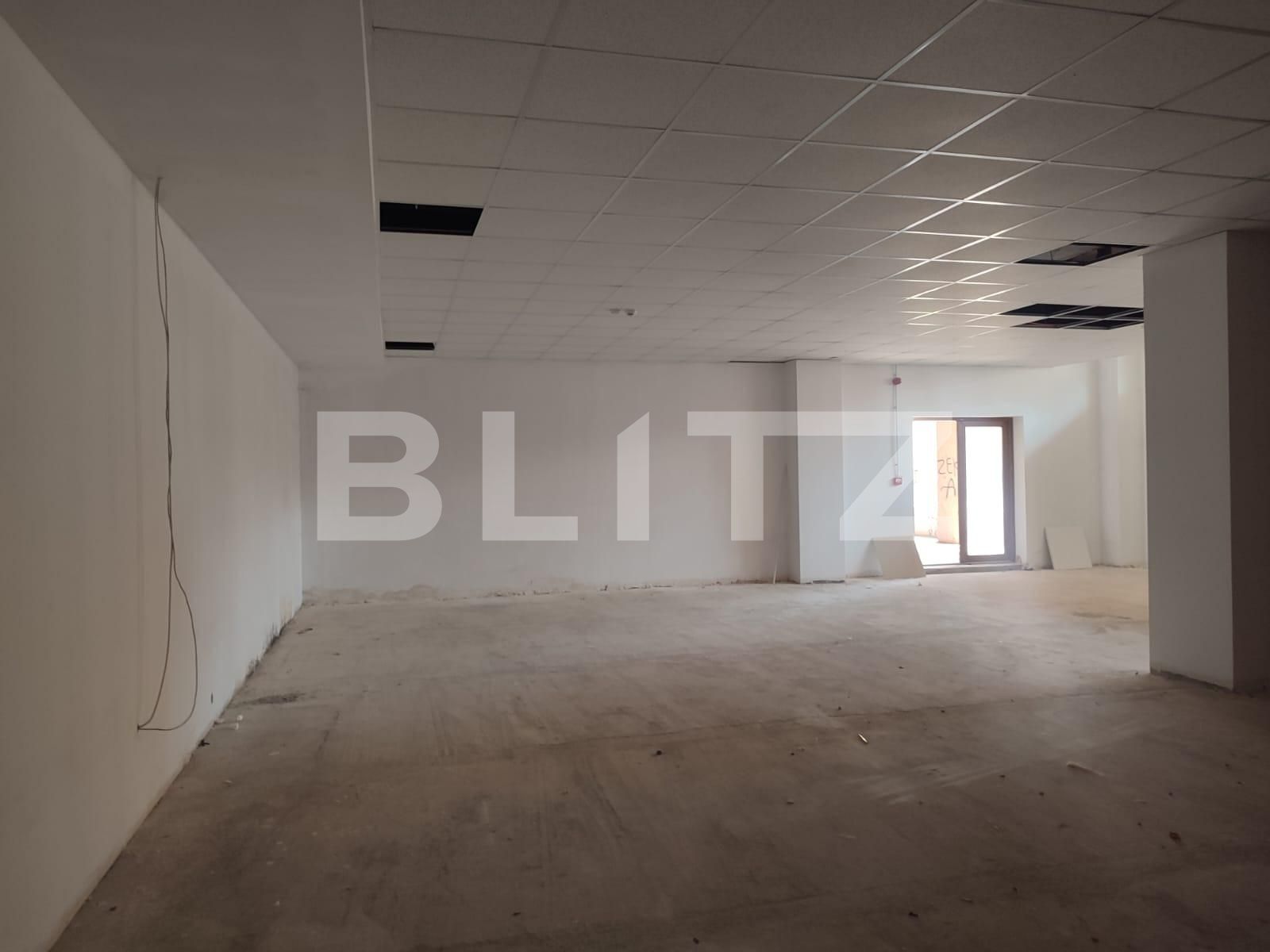 Spațiu comercial de vânzare Gavana 3 - 121717SVC | BLITZ Pitești | Poza8