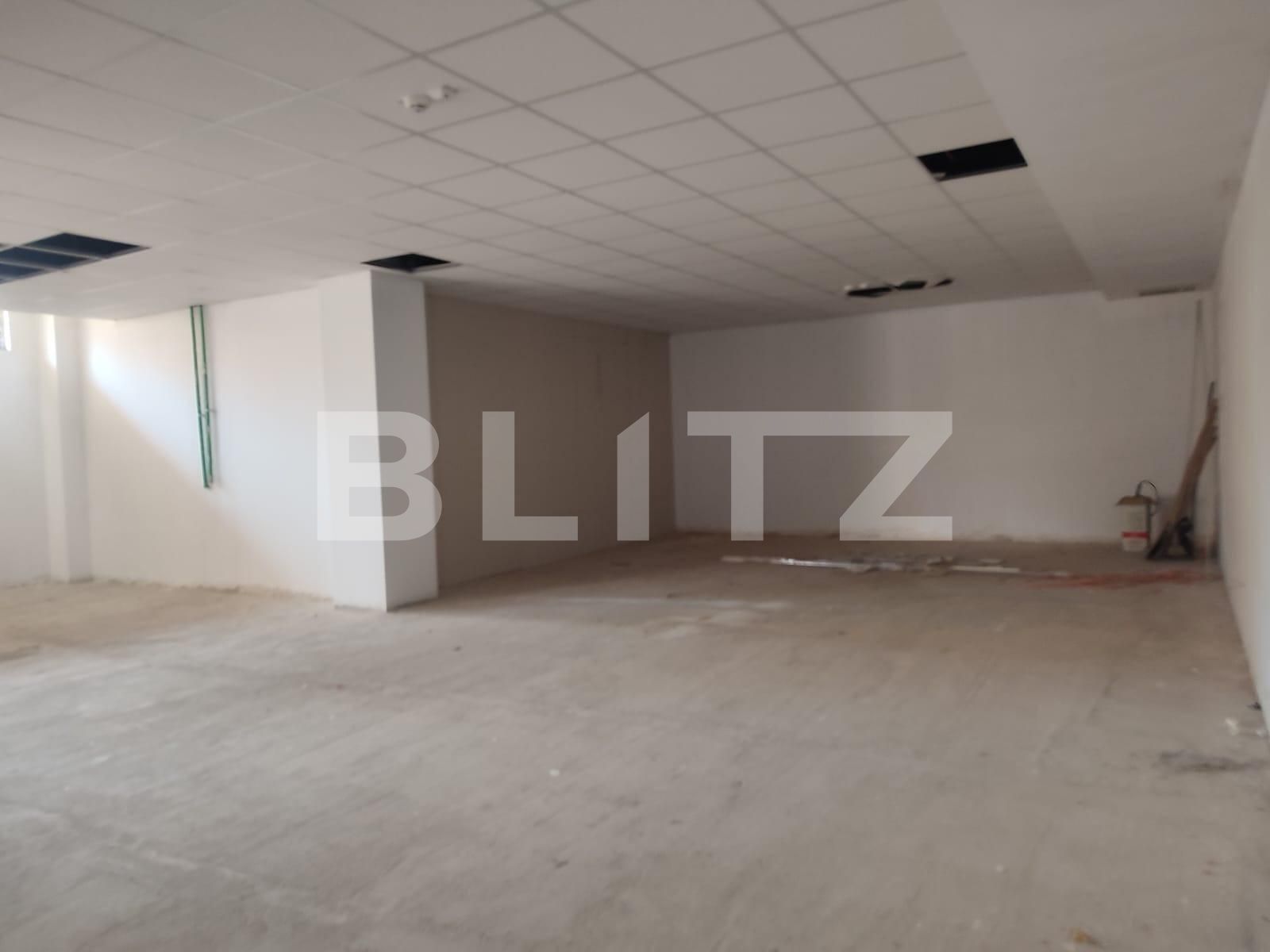 Spațiu comercial de vânzare Gavana 3 - 121717SVC | BLITZ Pitești | Poza6