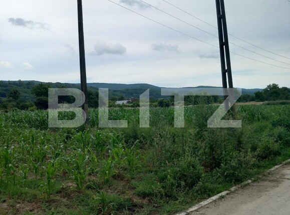 Teren de vânzare Curtea de Argeș - 122343TV | BLITZ Pitești | Poza2