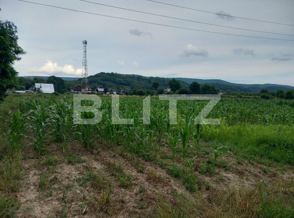 Teren de vânzare Curtea de Argeș - 122343TV | BLITZ Pitești | Poza1