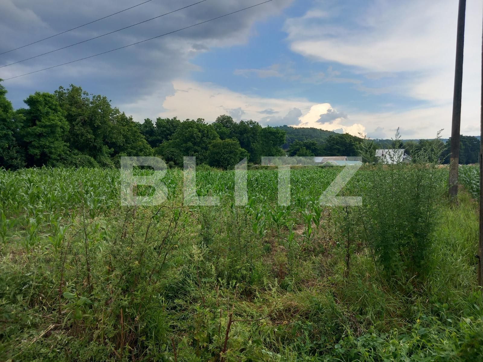 Teren de vânzare Curtea de Argeș - 122343TV | BLITZ Pitești | Poza3