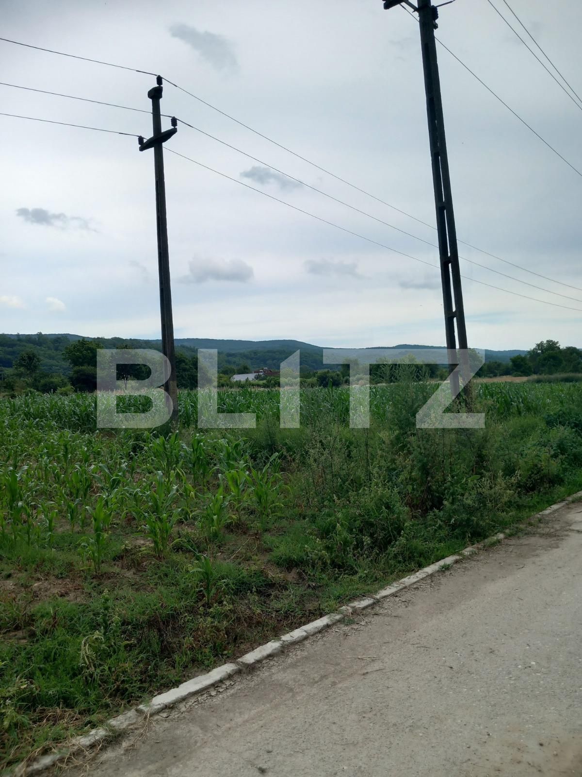 Teren de vânzare Curtea de Argeș - 122343TV | BLITZ Pitești | Poza2