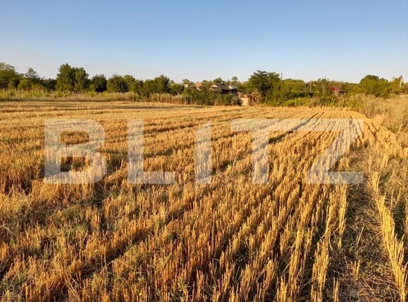 Teren de vânzare Sud Vest - 123797TV | BLITZ Pitești | Poza1