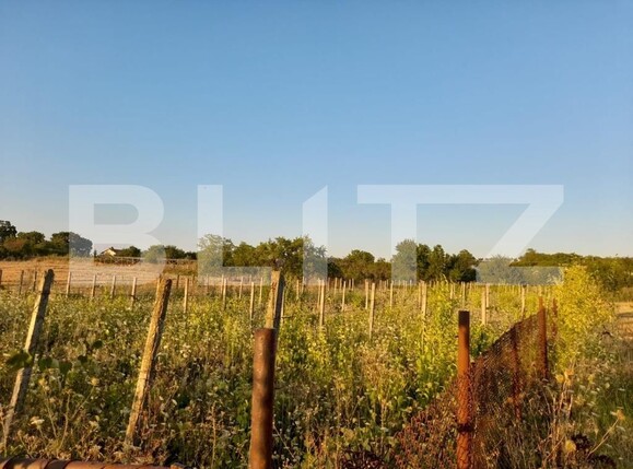 Teren de vânzare Sud Vest - 123797TV | BLITZ Pitești | Poza2