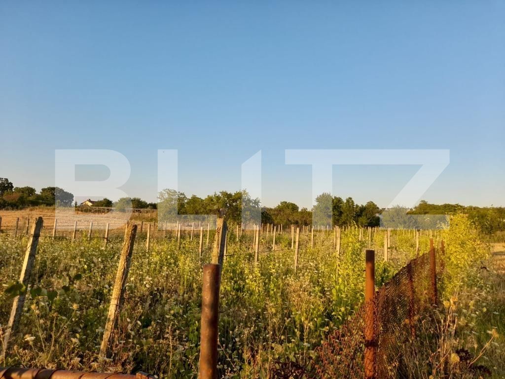 Teren de vânzare Sud Vest - 123797TV | BLITZ Pitești | Poza2