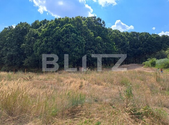 Teren de vânzare Smeura - 124175TV | BLITZ Pitești | Poza1