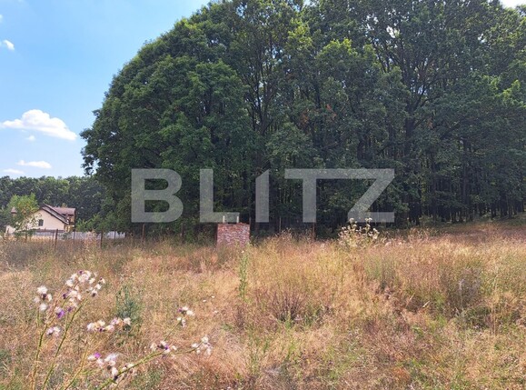 Teren de vânzare Smeura - 124175TV | BLITZ Pitești | Poza3