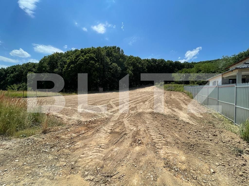 Teren de vânzare Smeura - 124175TV | BLITZ Pitești | Poza2