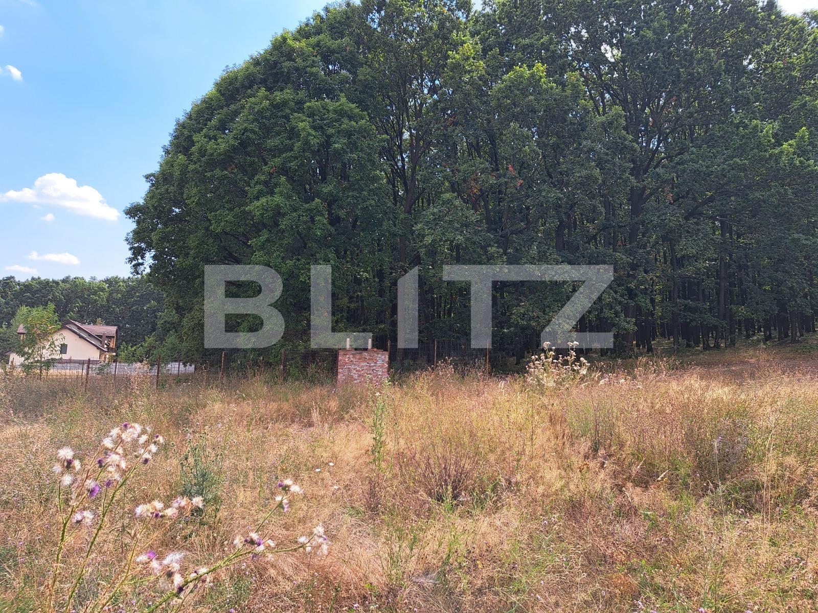 Teren de vânzare Smeura - 124175TV | BLITZ Pitești | Poza3