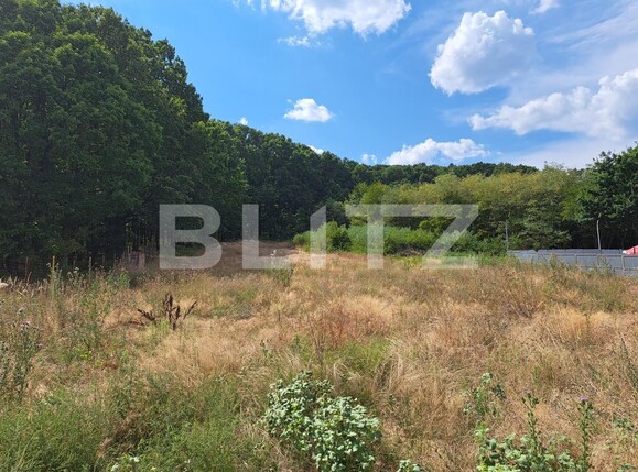 Teren de vânzare Smeura - 124192TV | BLITZ Pitești | Poza3