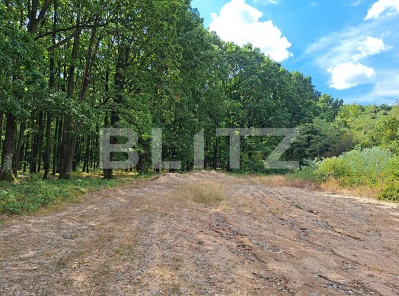 Teren de vânzare Smeura - 124192TV | BLITZ Pitești | Poza5