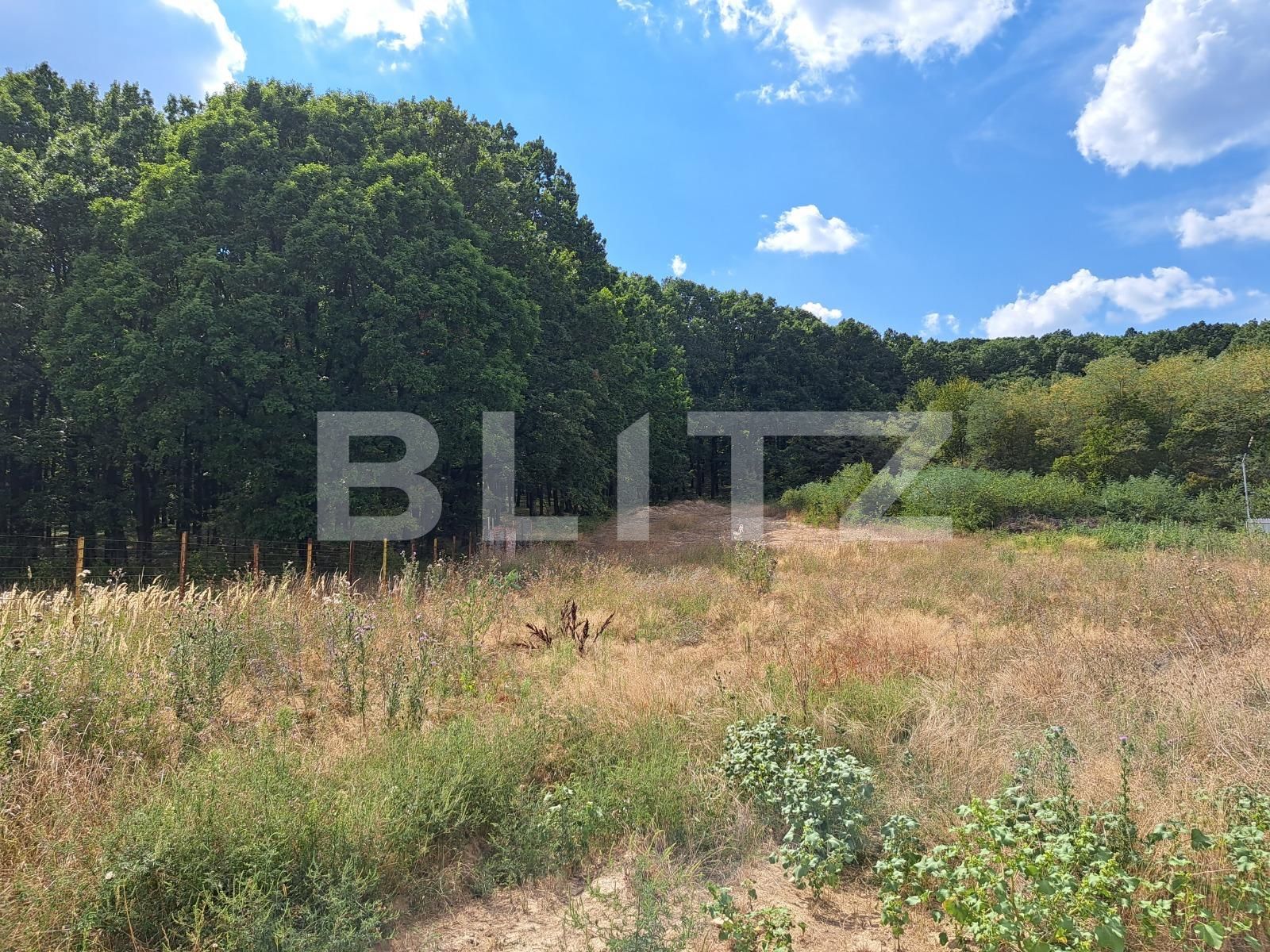 Teren de vânzare Smeura - 124192TV | BLITZ Pitești | Poza4