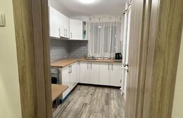 Apartament 2 camere, 43 mp, spatios, Calea Craiovei