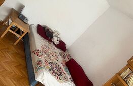 Apartament 2 camere, 48mp, decomandat, cartier Popa Sapca