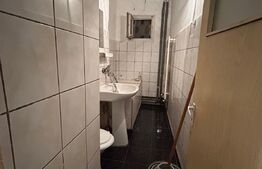 Apartament 2 camere, 40 mp, spatios, zona Banat