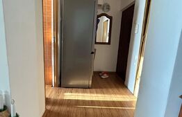 Apartament 2 camere, 45 mp, balcon, zona Craiovei 