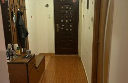Apartament 2 camere, 60mp,  spatips, zona Fratii Golesti