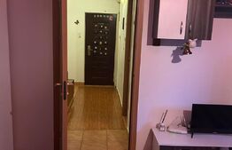 Apartament 2 camere, 60mp,  spatips, zona Fratii Golesti
