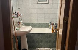 Apartament 2 camere, 60mp,  spatips, zona Fratii Golesti