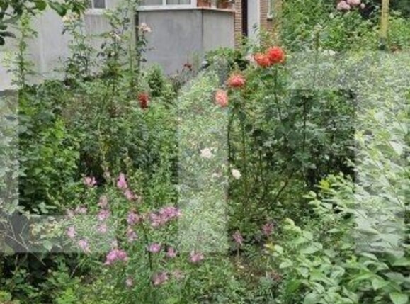 Garsonieră de vânzare Popa Sapca - 125566AV | BLITZ Pitești | Poza1