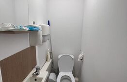 Spatiu comercial, 41 mp, zona Bld. Republicii
