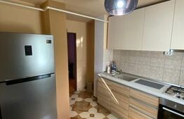 Apartament 2 camere, 54 mp, balcon, zona Topoloveni
