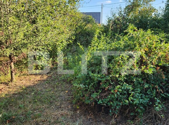 Teren de vânzare Smeura - 126887TV | BLITZ Pitești | Poza2