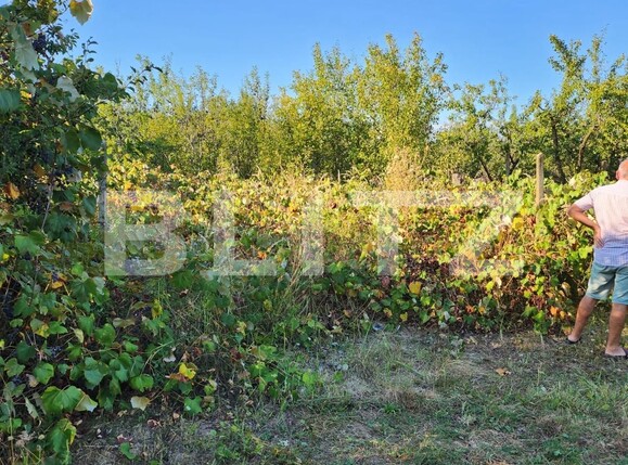 Teren de vânzare Smeura - 126887TV | BLITZ Pitești | Poza5