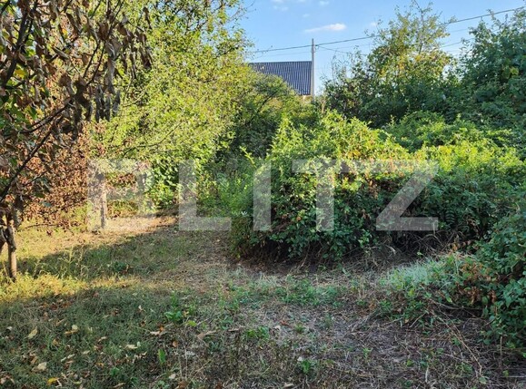 Teren de vânzare Smeura - 126887TV | BLITZ Pitești | Poza3