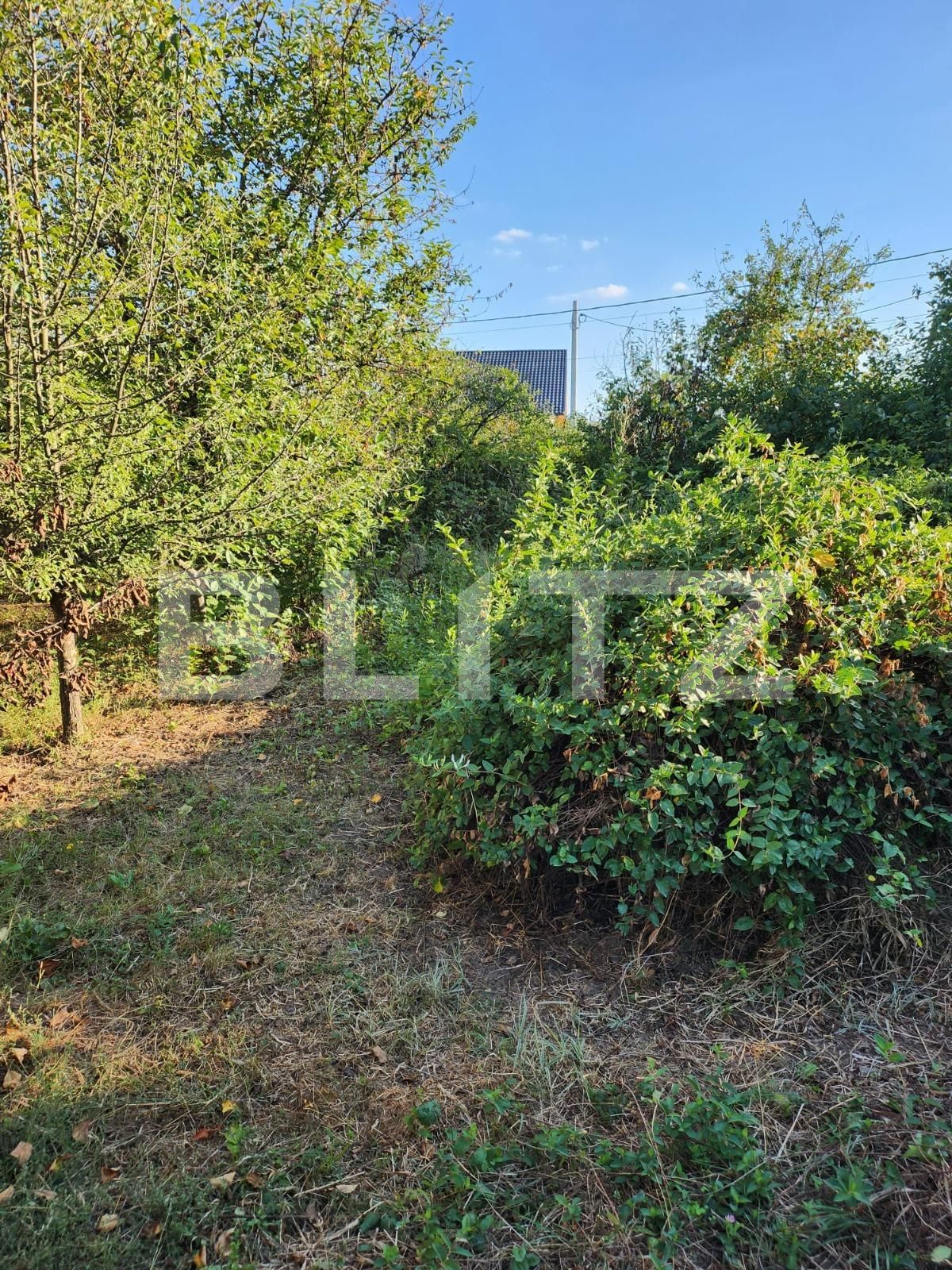 Teren de vânzare Smeura - 126887TV | BLITZ Pitești | Poza2