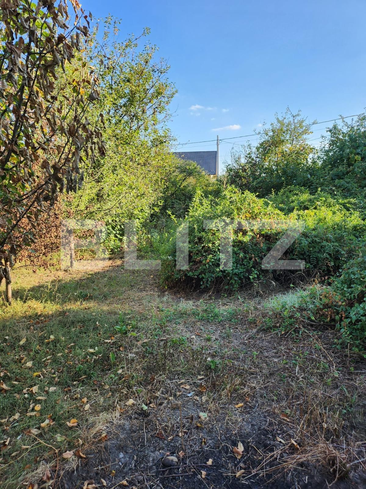 Teren de vânzare Smeura - 126887TV | BLITZ Pitești | Poza3