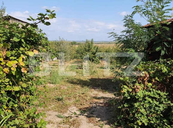 Teren de vânzare Exterior Est - 127390TV | BLITZ Pitești | Poza3