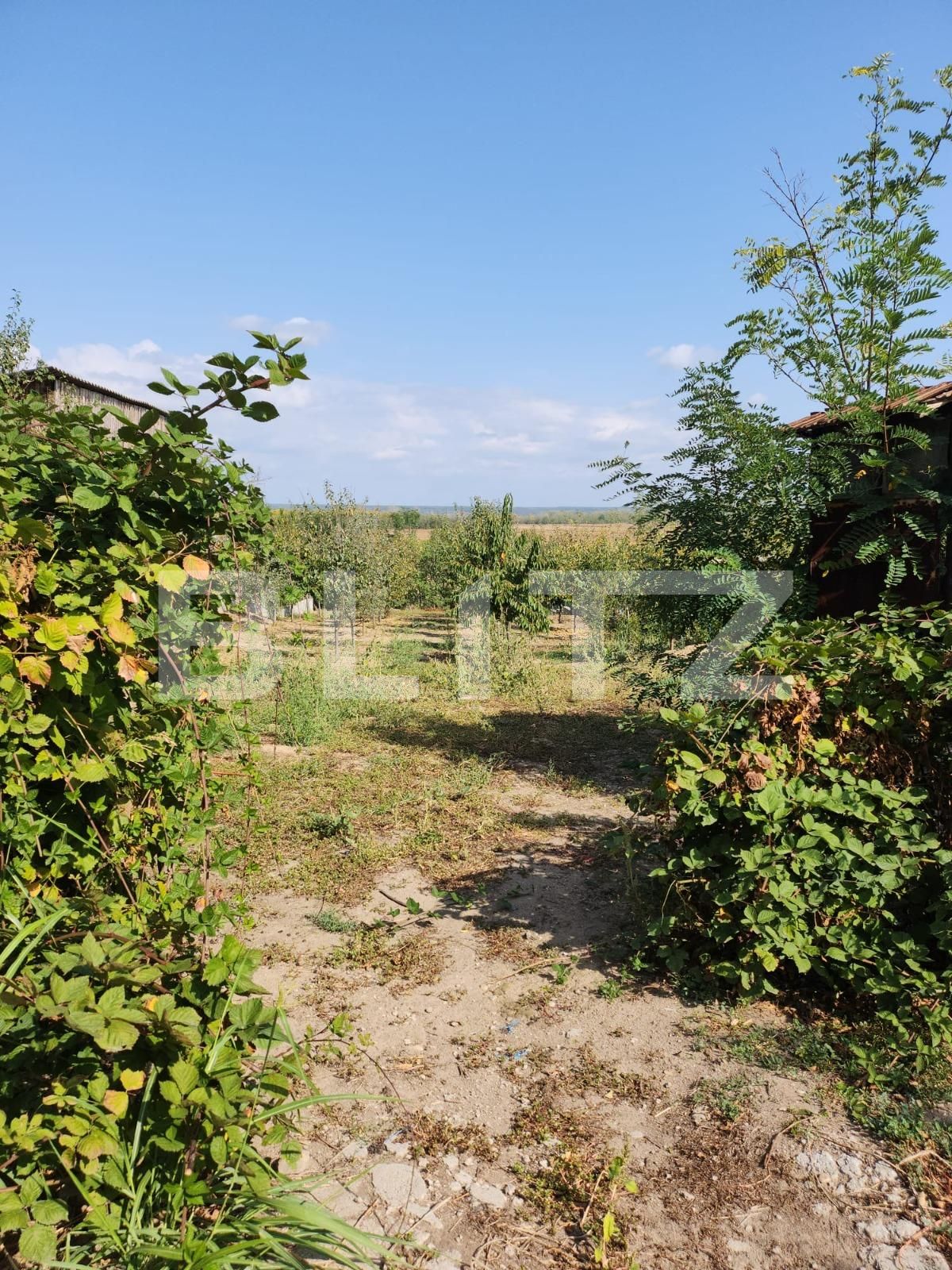 Teren de vânzare Exterior Est - 127390TV | BLITZ Pitești | Poza3