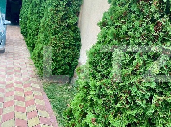 Casa de vânzare 4 camere Bradu - 128130CV | BLITZ Pitești | Poza3