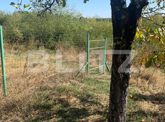 Teren de vânzare Smeura - 128608TV | BLITZ Pitești | Poza2