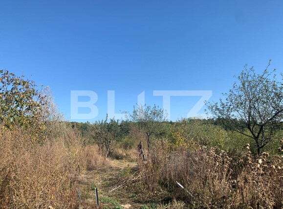 Teren de vânzare Smeura - 128608TV | BLITZ Pitești | Poza4