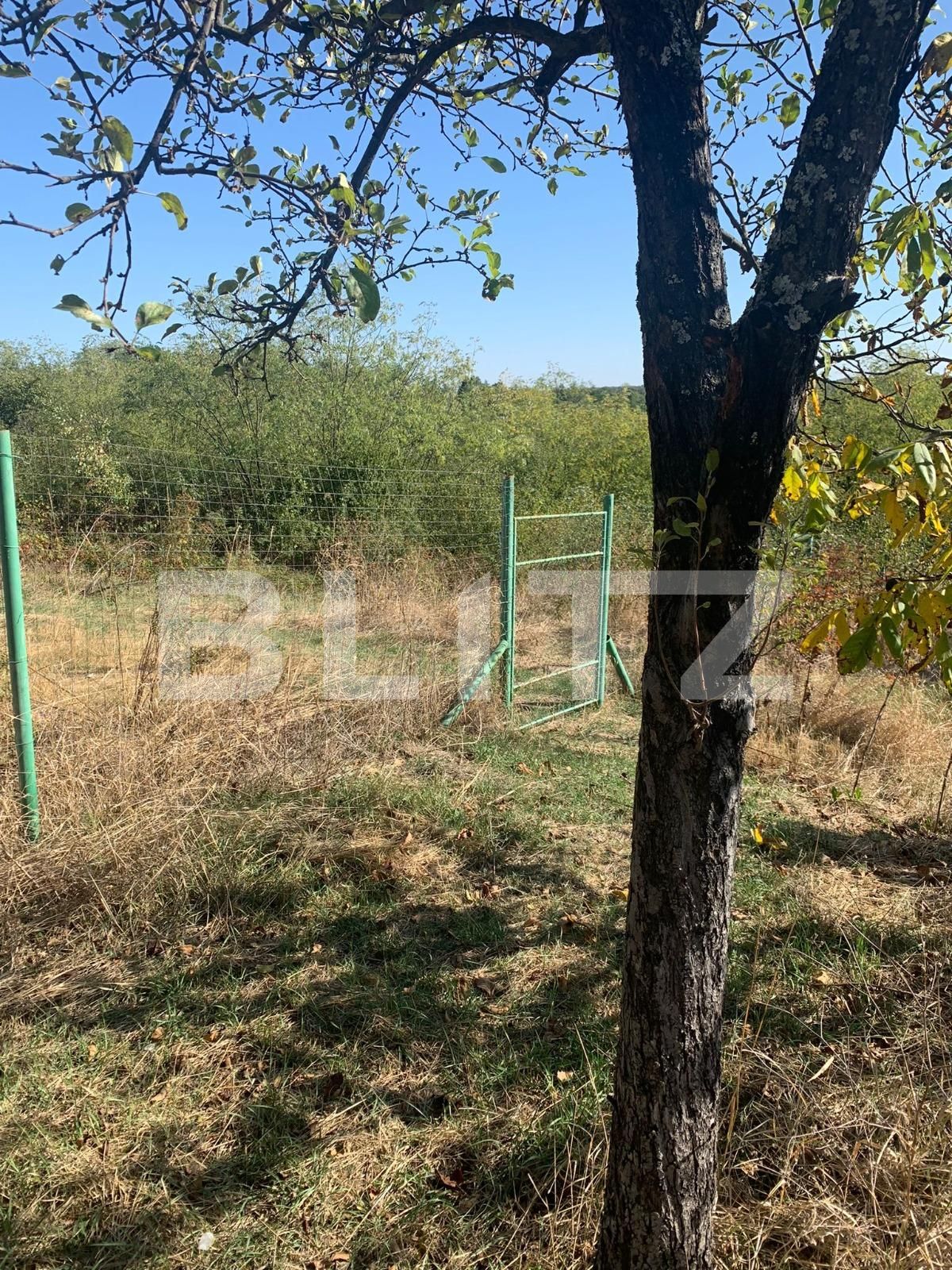 Teren de vânzare Smeura - 128608TV | BLITZ Pitești | Poza2