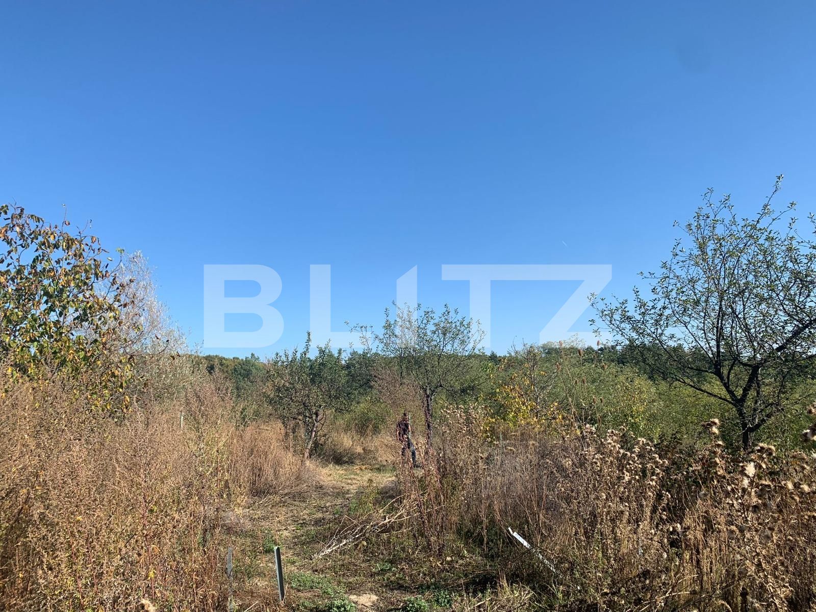 Teren de vânzare Smeura - 128608TV | BLITZ Pitești | Poza4