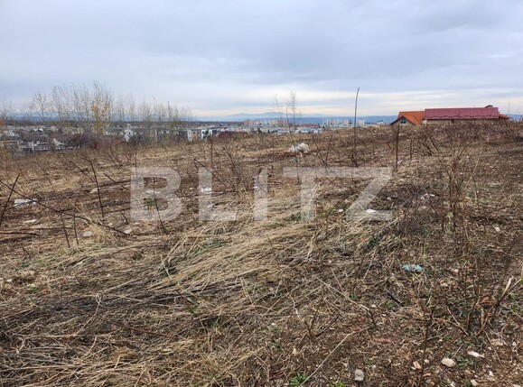 Teren de vânzare Campului - 130755TV | BLITZ Pitești | Poza1