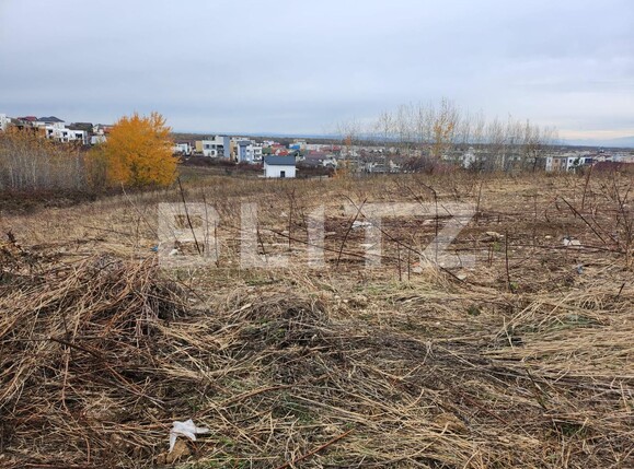 Teren de vânzare Campului - 130755TV | BLITZ Pitești | Poza2