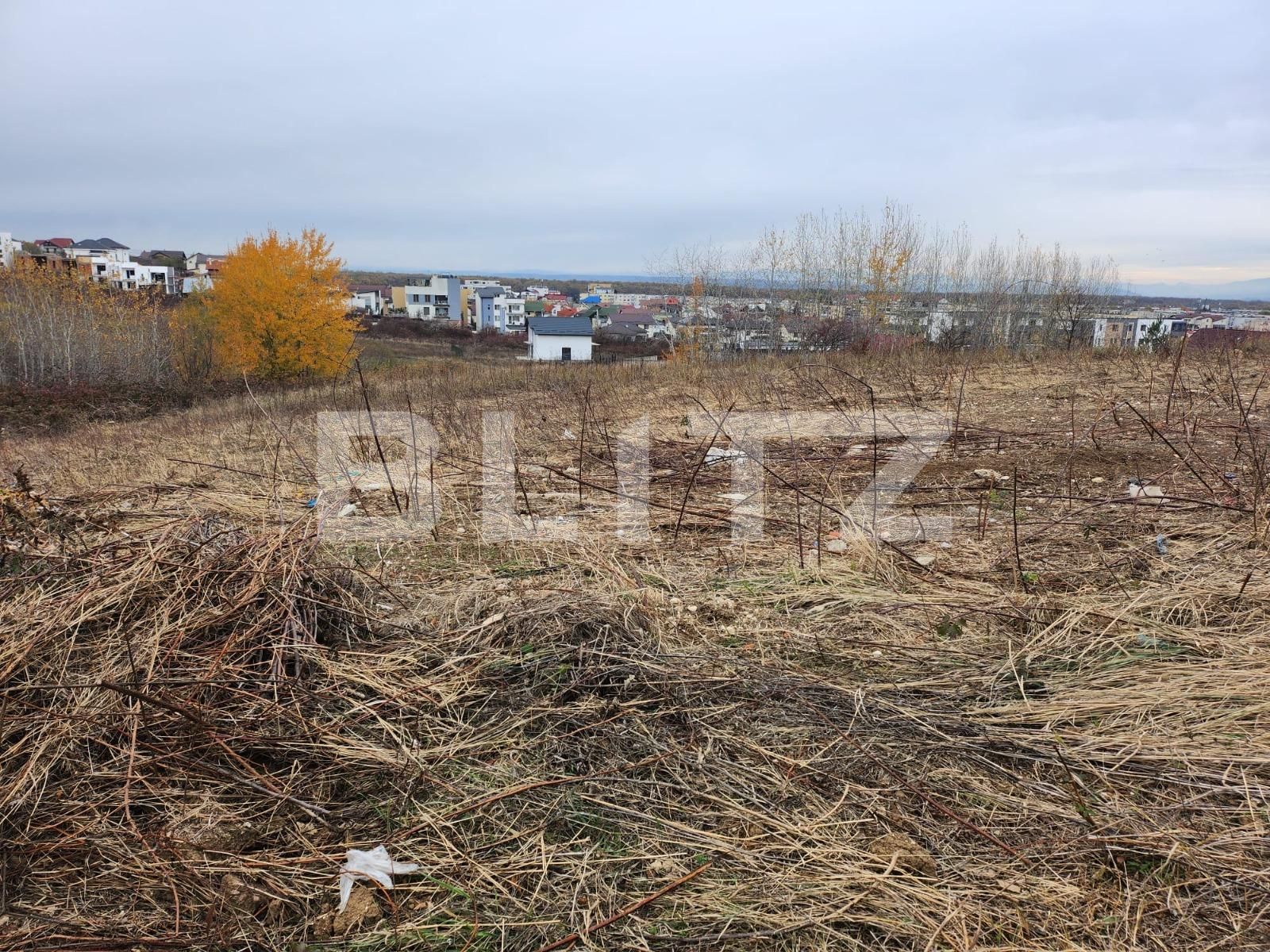 Teren de vânzare Campului - 130755TV | BLITZ Pitești | Poza2