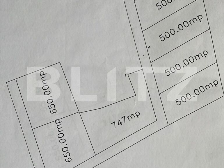 Teren de vânzare Campului - 130755TV | BLITZ Pitești | Poza2