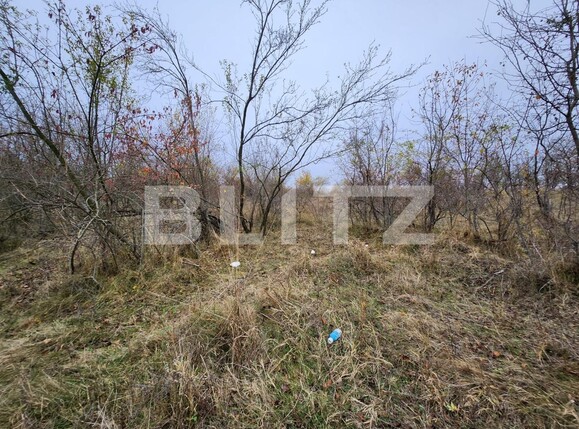 Teren de vânzare Smeura - 130758TV | BLITZ Pitești | Poza3