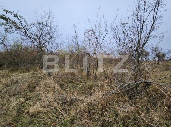 Teren de vânzare Smeura - 130758TV | BLITZ Pitești | Poza4