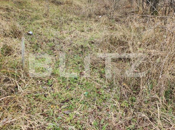 Teren de vânzare Smeura - 130758TV | BLITZ Pitești | Poza1