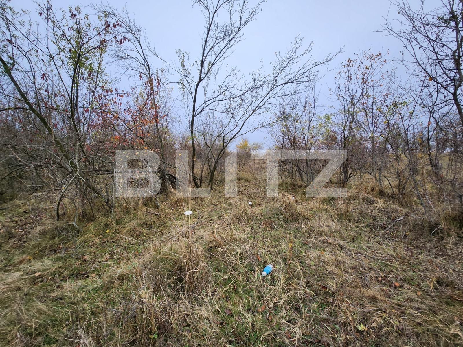 Teren de vânzare Smeura - 130758TV | BLITZ Pitești | Poza3