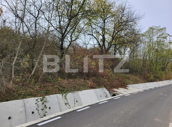 Teren de vânzare Hintesti - 130762TV | BLITZ Pitești | Poza3