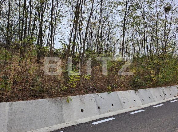 Teren de vânzare Hintesti - 130762TV | BLITZ Pitești | Poza4