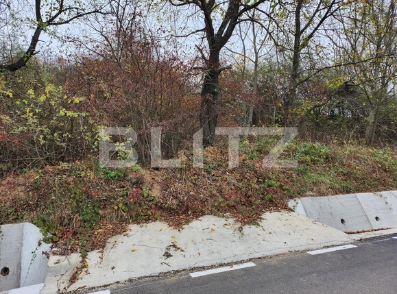 Teren de vânzare Hintesti - 130762TV | BLITZ Pitești | Poza1